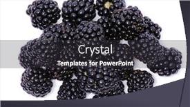 Presentation with blackberry - PPT theme enhanced with blackberry-isolated-on-a-white background and a dark gray colored foreground