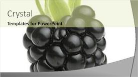  Presentation with blackberry - Slides consisting of blackberry-isolated-on-white-background background and a blonde colored foreground