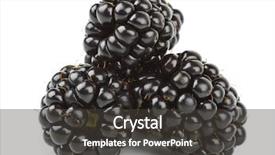  Presentation with blackberry - Beautiful presentation theme featuring blackberry isolated on white background backdrop and a dark gray colored foreground