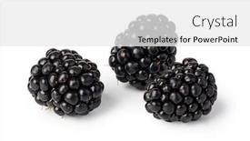  Presentation with blackberry - PPT layouts featuring blackberry isolated on white background background and a white colored foreground