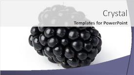  Presentation with blackberry - Theme having blackberry isolated on white background background and a white colored foreground