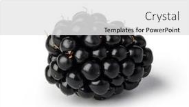  Presentation with blackberry - Theme featuring blackberry isolated on white background background and a white colored foreground