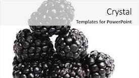 Presentation with blackberry - Beautiful presentation featuring blackberry pile backdrop and a white colored foreground