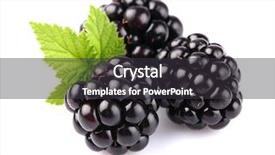 Presentation with blackberry - PPT theme featuring blackberry with leaf background and a dark gray colored foreground