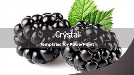  Presentation with blackberry - PPT theme featuring blackberry with leaves background and a dark gray colored foreground