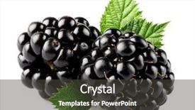  Presentation with blackberry - Presentation with blackberry with leaves background and a dark gray colored foreground