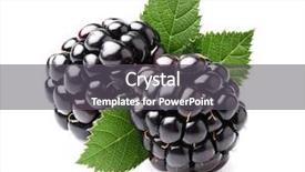  Presentation with blackberry - Cool new slide set with blackberry with leaves backdrop and a dark gray colored foreground