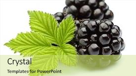  Presentation with blackberry - Amazing slides having blackberry with leaves backdrop and a yellow colored foreground