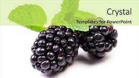  Presentation with blackberry - Amazing slide deck having blackberry with mint leaves isolated backdrop and a yellow colored foreground