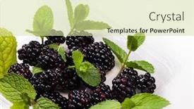  Presentation with blackberry - Cool new presentation theme with blackberry-with-mint-leaves-isolated backdrop and a soft green colored foreground