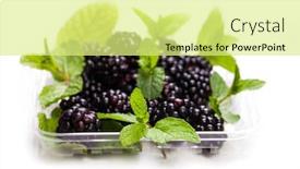  Presentation with blackberry - Amazing presentation theme having blackberry-with-mint-leaves-isolated backdrop and a blonde colored foreground