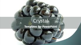  Presentation with blackberry - PPT layouts consisting of blackberry background and a gray colored foreground