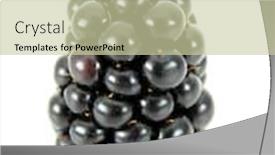  Presentation with blackberry - Beautiful theme featuring blackberry backdrop and a soft green colored foreground