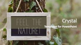  Presentation with rustic wood wooden frame - Slide deck enhanced with blackboard free - wooden-framed chalkboard with the text background and a violet colored foreground