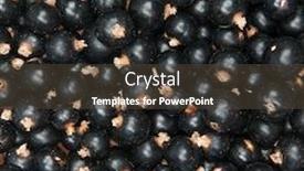  Presentation with blackcurrant - PPT theme consisting of blackcurrant-background-tasty-and-healthy background and a tawny brown colored foreground