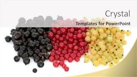  Presentation with blackcurrant - Beautiful slide deck featuring blackcurrant redcurrant and white currant fruit isolated over white background backdrop and a white colored foreground