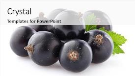  Presentation with blackcurrant - Slides having blackcurrant with leaf background and a white colored foreground