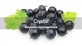  Presentation with blackcurrant - Theme with blackcurrant with leaves background and a dark gray colored foreground