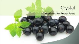  Presentation with blackcurrant - Slides enhanced with blackcurrant with melissa background and a blonde colored foreground