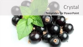  Presentation with blackcurrant - Presentation with blackcurrant with mint background and a white colored foreground