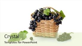  Presentation with wicker - Cool new PPT theme with blackcurrants in and beside backdrop and a soft green colored foreground