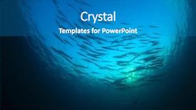  Presentation with fish ocean - Audience pleasing PPT theme consisting of blackfin barracuda fish school in blue ocean backdrop and a teal colored foreground