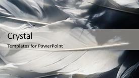  Presentation with angel in white - Beautiful PPT theme featuring blackswan - white feather white angel wing backdrop and a light gray colored foreground