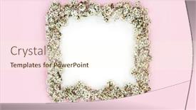  Presentation with flower border - Slides with blackthorn-blossom-spring-flower-border background and a  colored foreground