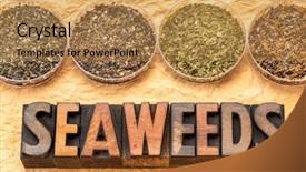 Presentation with seaweed - Presentation design consisting of bladder - bowls of seaweed diet supplements background and a gold colored foreground