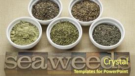  Presentation with supplements - Cool new PPT layouts with bladder - bowls of seaweed diet supplements backdrop and a violet colored foreground