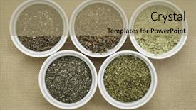  Presentation with supplements - Amazing PPT theme having bladder - bowls of seaweed diet supplements backdrop and a coral colored foreground