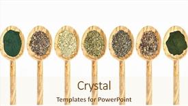  Presentation with bladder - Beautiful PPT layouts featuring bladder - collection of seaweed and algae backdrop and a cream colored foreground