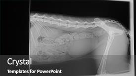  Presentation with bladder - Amazing PPT layouts having palnts - ancient sukhothai historical park backdrop and a gray colored foreground