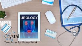  Presentation with racism workplace - Cool new slides with bladder - urologist workplace in office backdrop and a light gray colored foreground