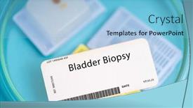  Presentation with bladder cancer - PPT theme consisting of bladder-biopsy-a-small-piece background and a light blue colored foreground