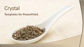  Presentation with bladder - Presentation theme having bladder wrack seaweed leaves background and a cream colored foreground