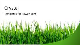  Presentation with blade - Slides enhanced with blade - green grass on white background background and a white colored foreground