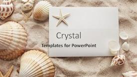 Presentation with beach frame - Beautiful PPT layouts featuring blank-card-and-seashells backdrop and a soft green colored foreground