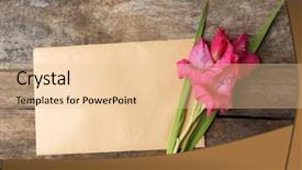  Presentation with christmas blank wooden signboard - Amazing slide deck having blank card with beautiful gladiolus backdrop and a lemonade colored foreground