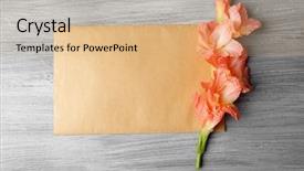  Presentation with christmas blank wooden signboard - Slide deck with blank card with beautiful gladiolus background and a coral colored foreground