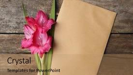  Presentation with blank note book and wooden - PPT layouts having blank card with beautiful gladiolus background and a coral colored foreground