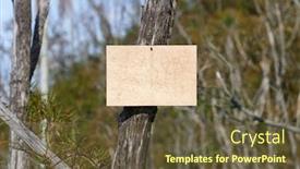  Presentation with forest - Cool new PPT layouts with blank-empty-sign-board backdrop and a tawny brown colored foreground