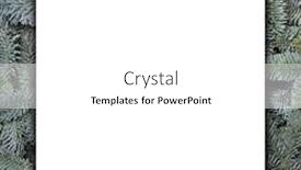  Presentation with skin care natural yellow - Audience pleasing slide deck consisting of blank-greeting-card-over-natural backdrop and a white colored foreground