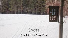  Presentation with pointer - Beautiful PPT theme featuring blank-information-pointer-in-park backdrop and a white colored foreground