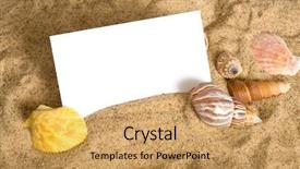  Presentation with sea shells - Colorful presentation theme enhanced with blank notecard surrounded by sea shells and sand with copy space backdrop and a yellow colored foreground
