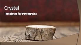  Presentation with wood log - Beautiful PPT theme featuring blank old wooden stump backdrop and a wine colored foreground