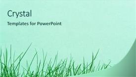  Presentation with green - PPT layouts with blank on the green grass background and a cool aqua colored foreground