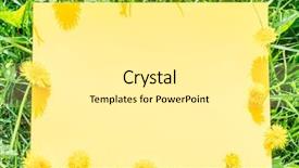  Presentation with blue and yellow green - PPT theme with blank on the green grass background and a white colored foreground