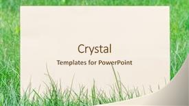  Presentation with green - Slide set having blank on the green grass background and a  colored foreground