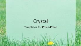  Presentation with green watercolor paper texture - Audience pleasing slide deck consisting of blank on the green grass backdrop and a  colored foreground